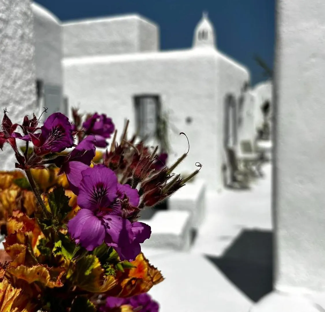 Vougli View Mykonos 호텔 Drafaki 게스트하우스
