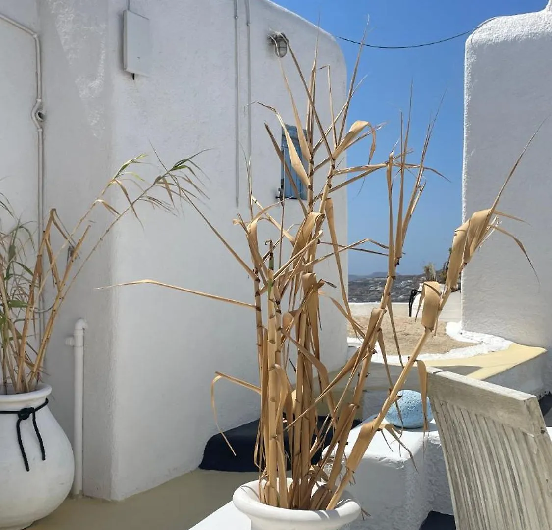 Vougli View Mykonos 호텔 Drafaki 게스트하우스
