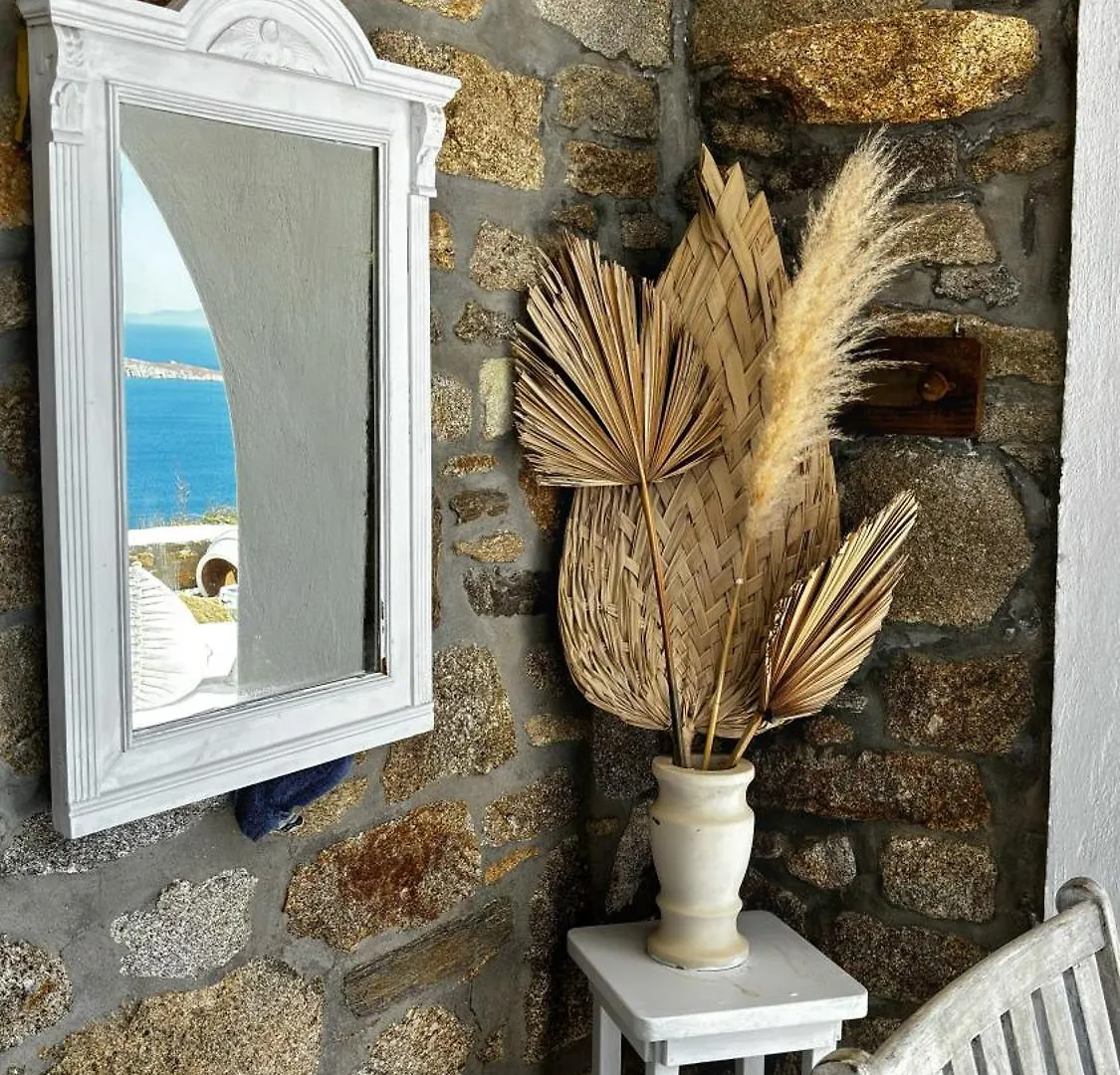 Vougli View Mykonos 호텔 Drafaki 게스트하우스